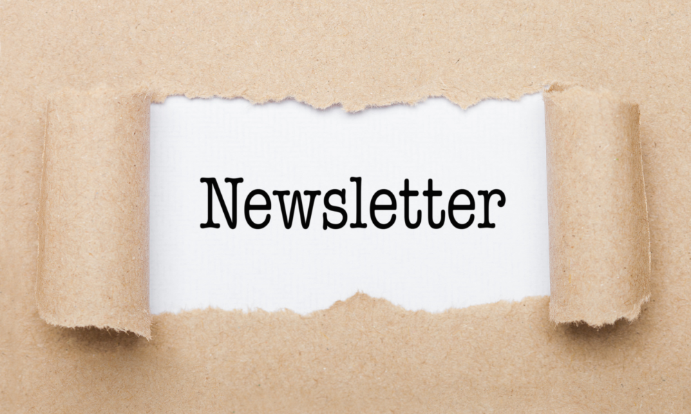 Newsletter #3 With Your Go-To IT, Marketing, & Accounting Advice